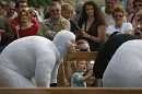 les moutons 004 * 3504 x 2336 * (2.08MB)